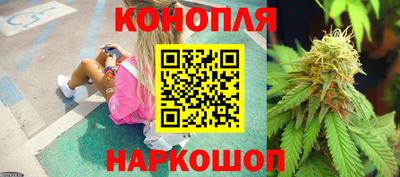 гидропоника Аша