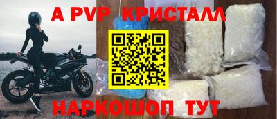 эйфоретик Ачхой-Мартан