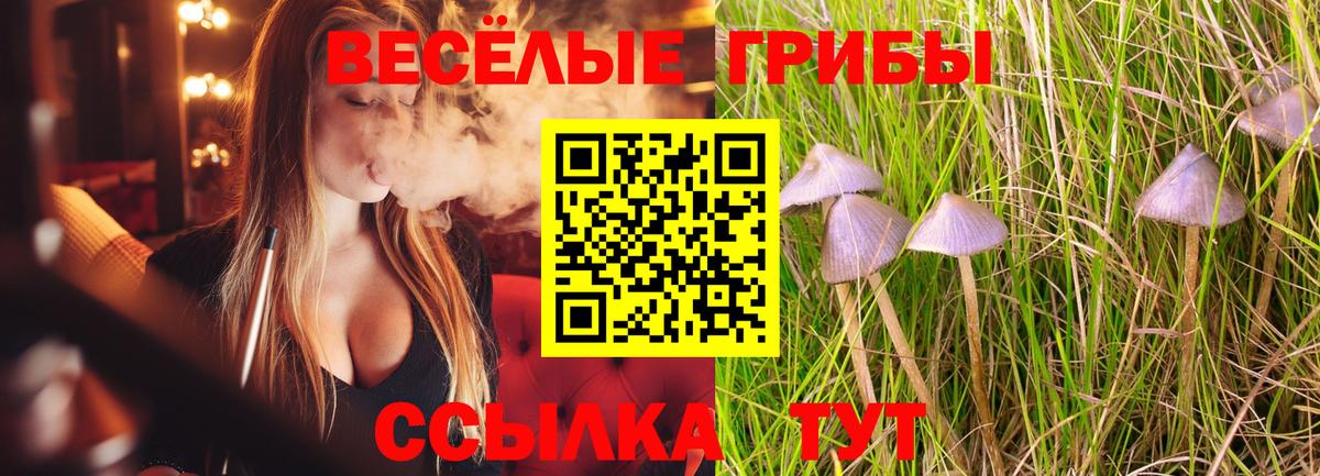 Псилоцибиновые грибы GOLDEN TEACHER Гусь-Хрустальный