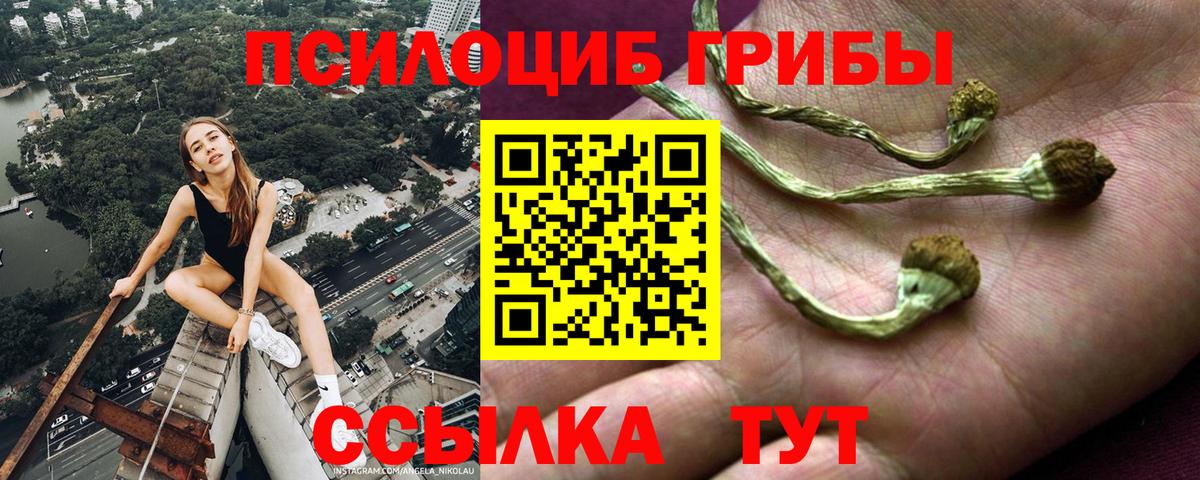 Галлюциногенные грибы MAGIC MUSHROOMS  Вход с VPN  Гусь-Хрустальный 